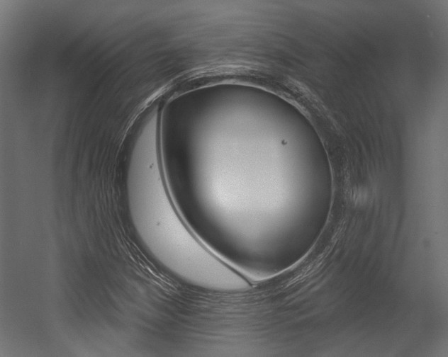 X0000054461210200507291012