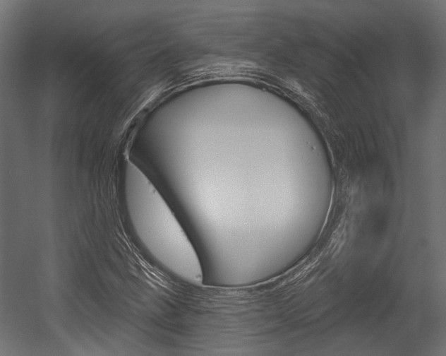 X0000054461211200507291012