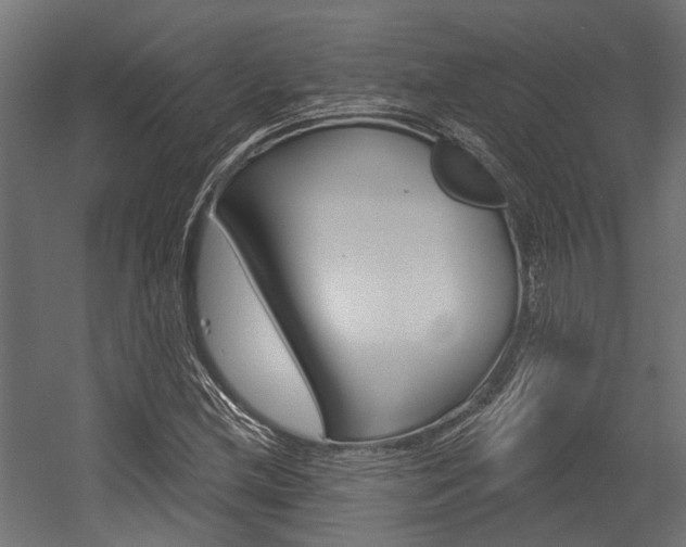 X0000054461212200507291012