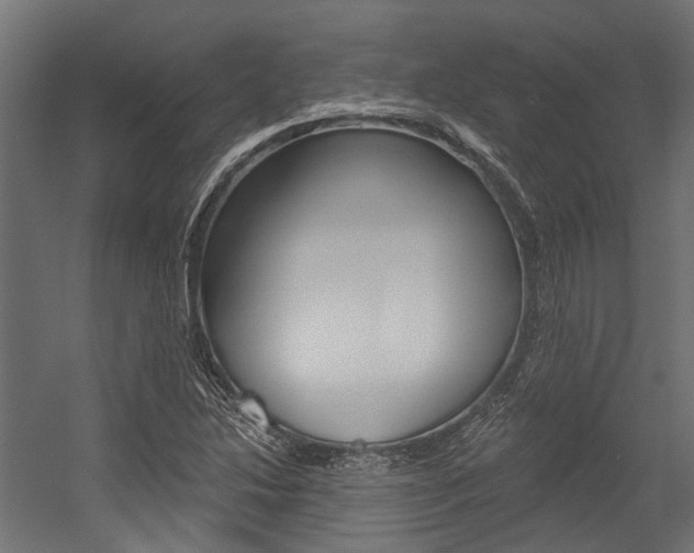 X0000054461214200507291012
