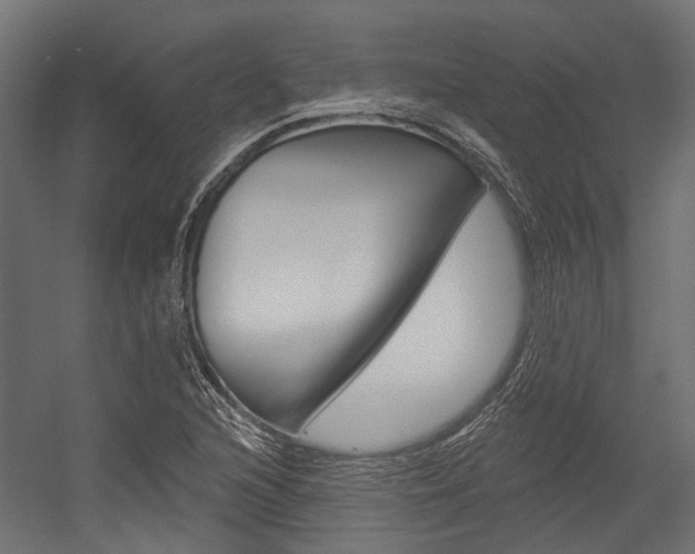X0000054461216200507291012