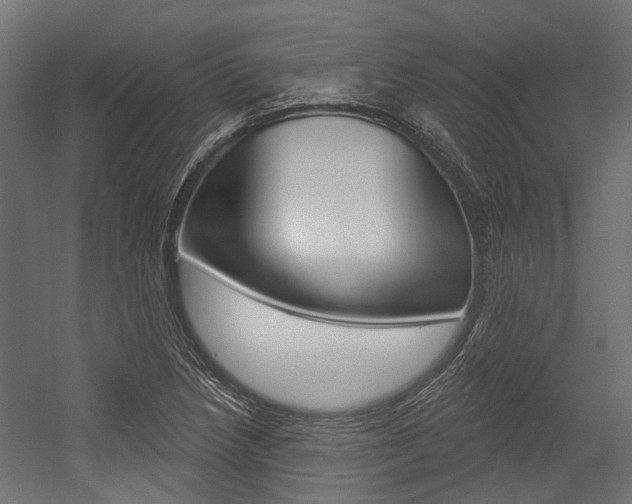 X0000054461218200507291012