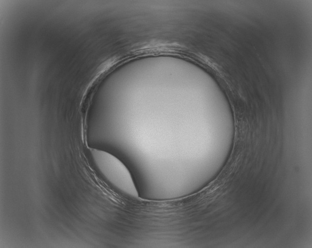X0000054461219200507291012