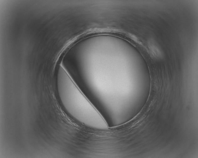 X0000054461221200507291012