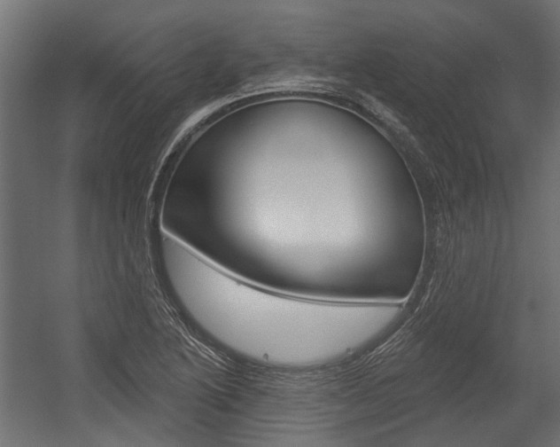 X0000054461222200507291012