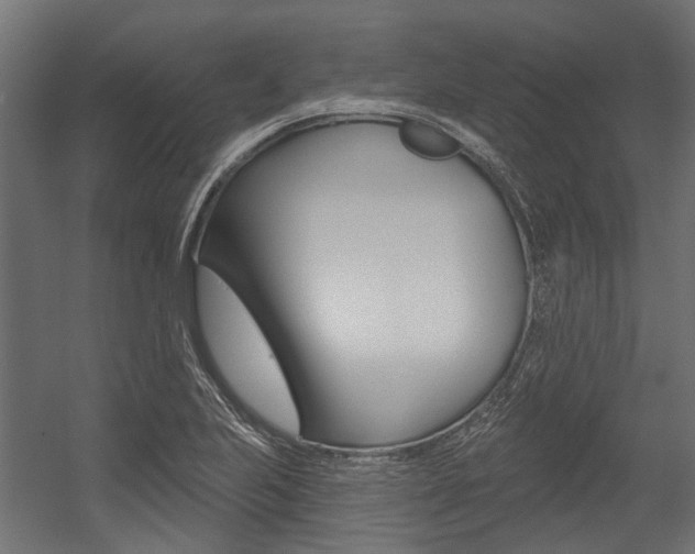 X0000054461223200507291012