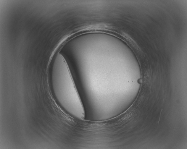 X0000054461224200507291013