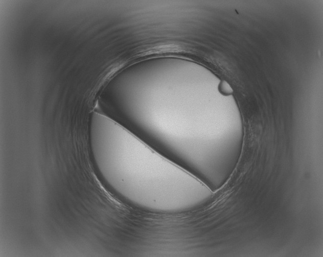 X0000054461225200507291013