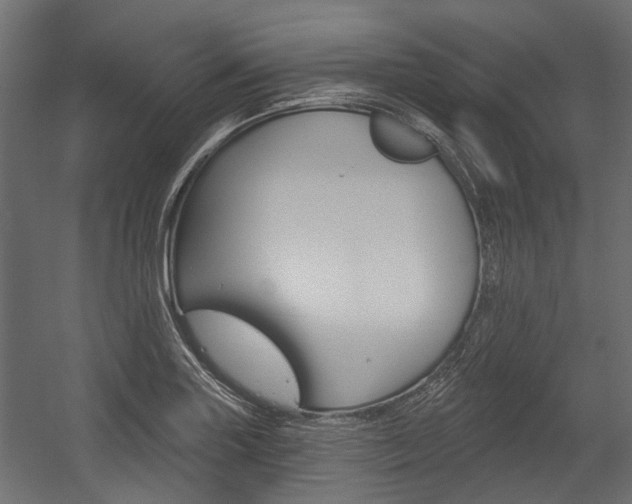 X0000054461227200507291013