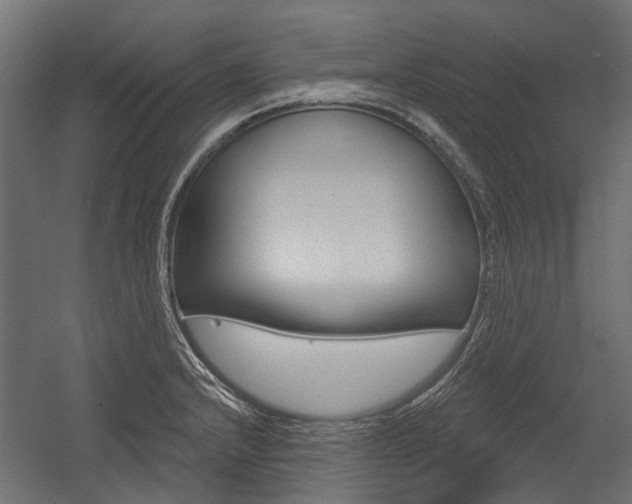 X0000054461232200507291013