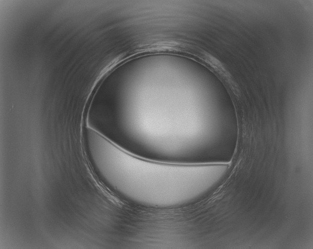 X0000054461234200507291013