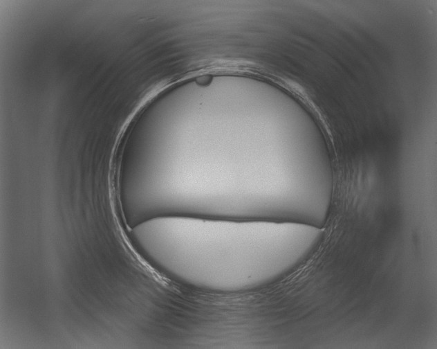 X0000054461235200507291013