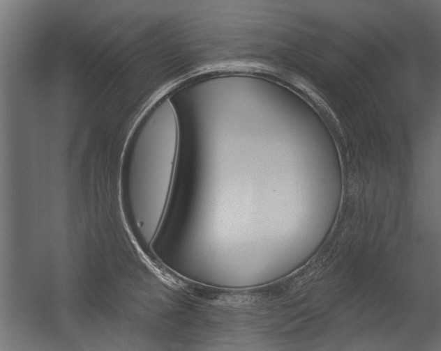 X0000054461237200507291013