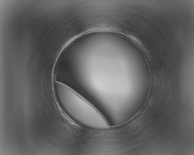X0000054461238200507291013