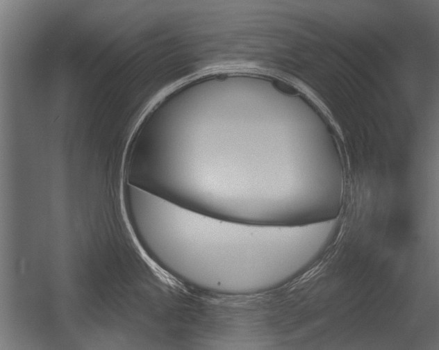 X0000054461245200507291013