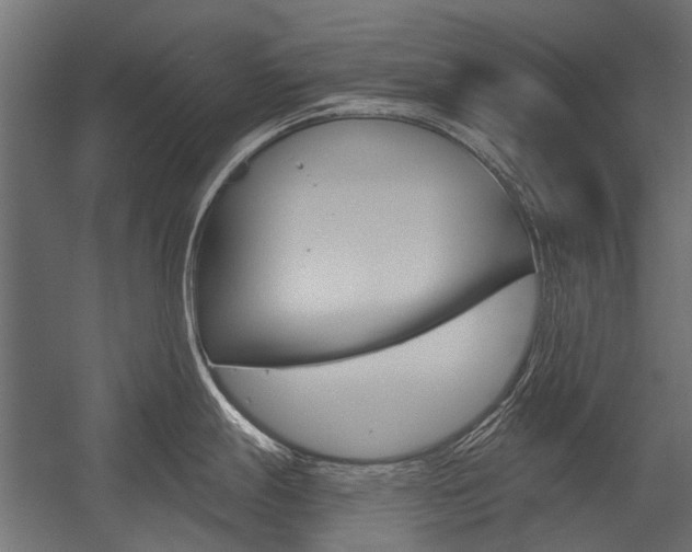 X0000054461247200507291013