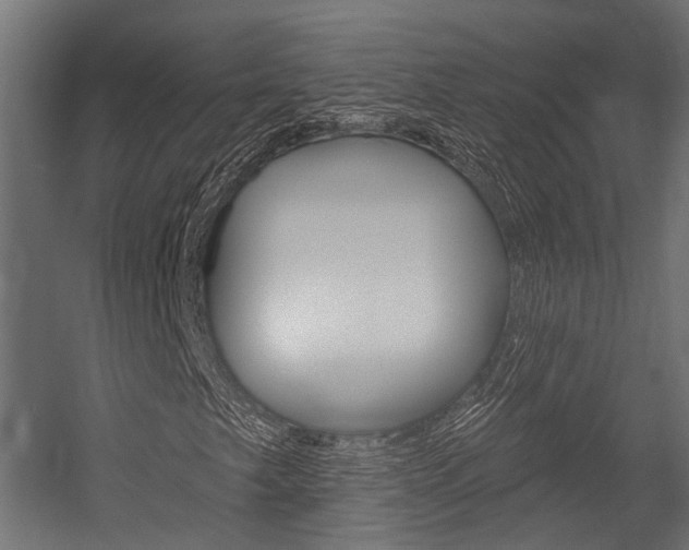 X0000054461249200507291012
