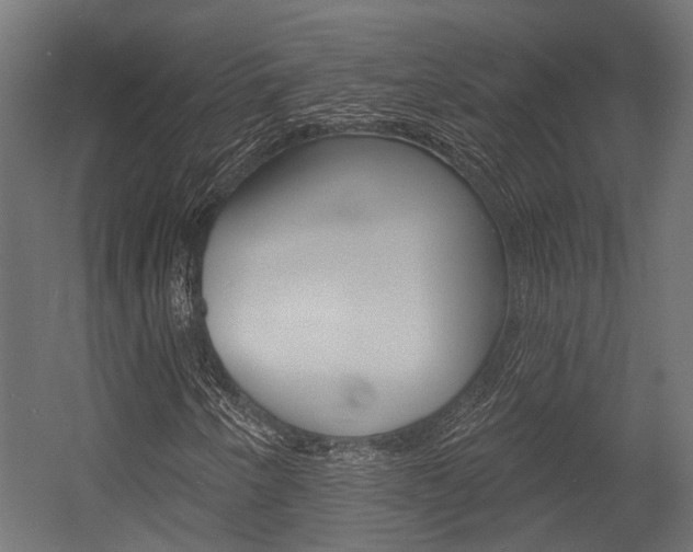 X0000054461250200507291012