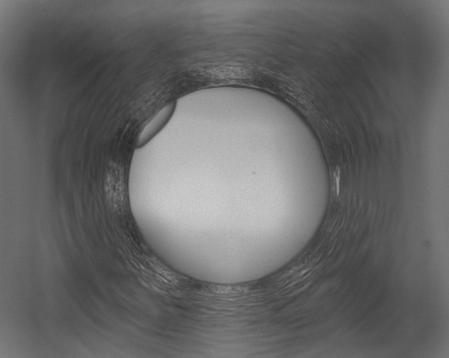 X0000054461251200507291012