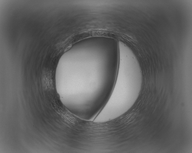 X0000054461252200507291012