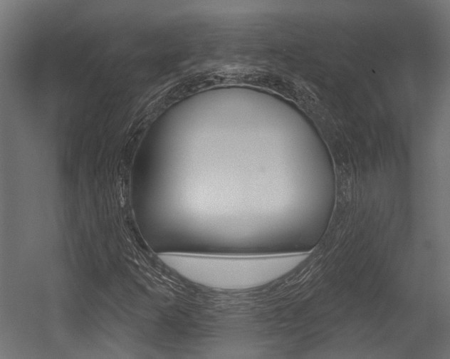 X0000054461253200507291012