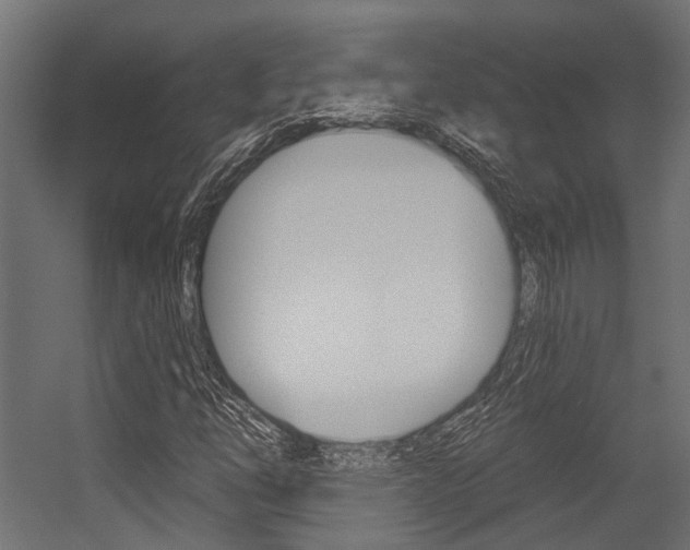 X0000054461254200507291012