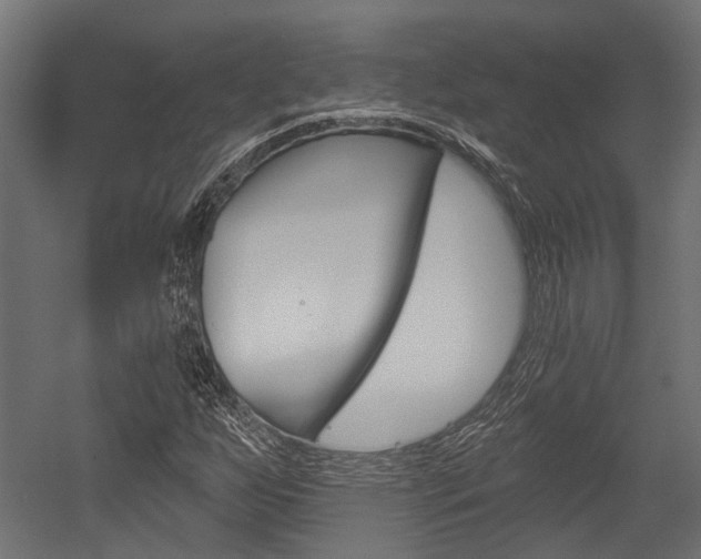 X0000054461255200507291012