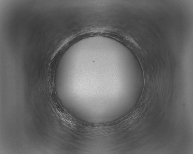 X0000054461256200507291012