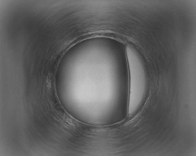 X0000054461257200507291012
