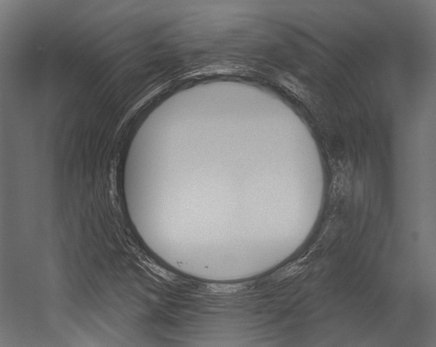 X0000054461258200507291012