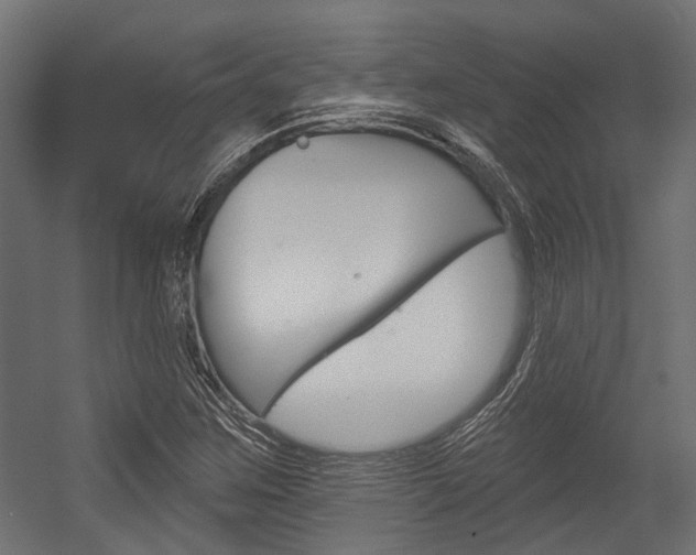 X0000054461259200507291012