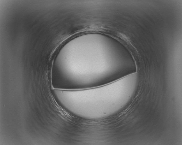 X0000054461260200507291012