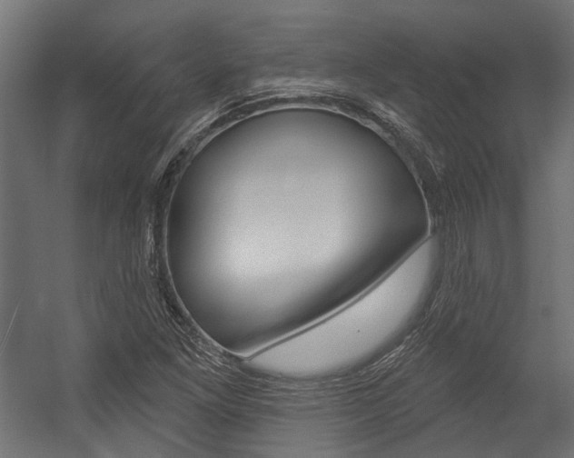 X0000054461261200507291012