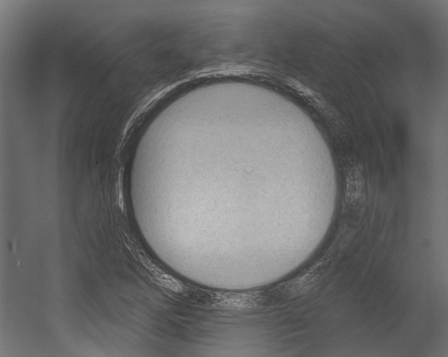 X0000054461262200507291012