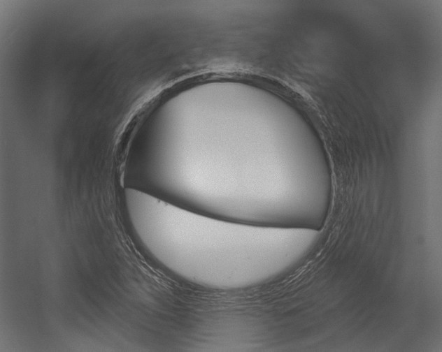 X0000054461263200507291012