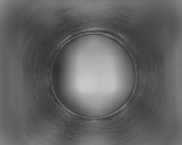 X0000054461265200507291012