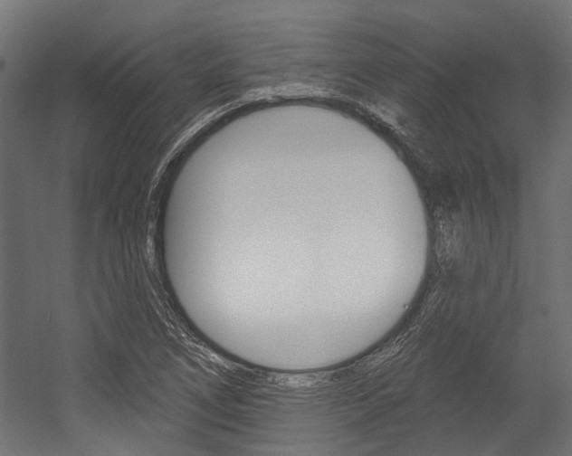 X0000054461266200507291012