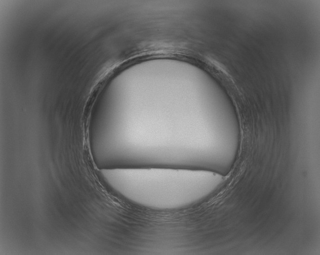 X0000054461267200507291012