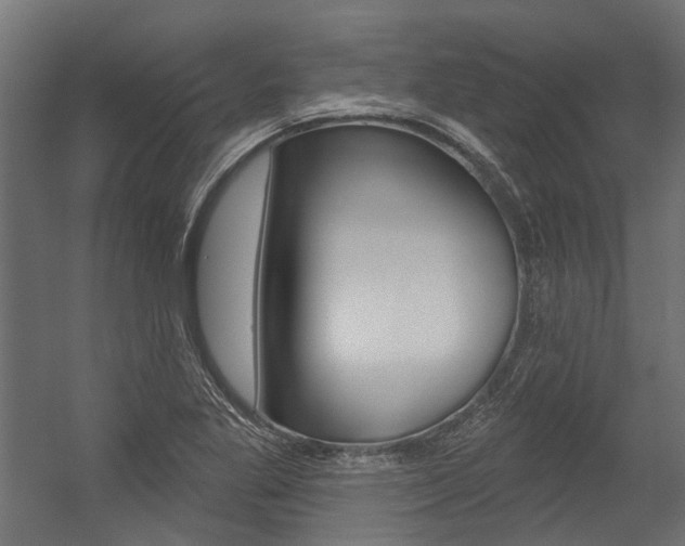X0000054461269200507291012