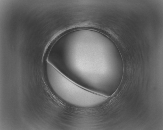 X0000054461270200507291012
