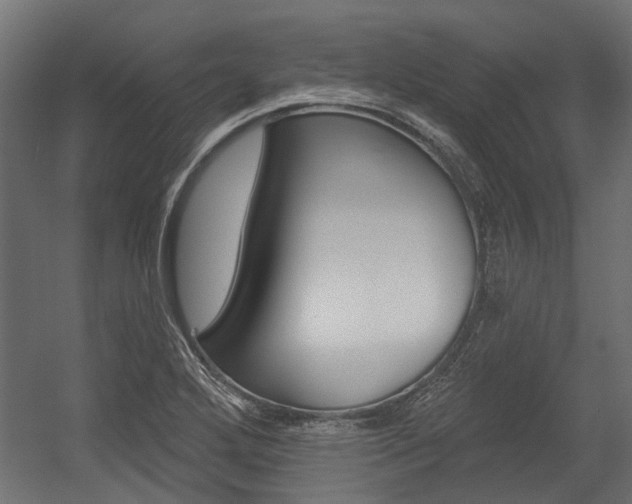 X0000054461272200507291012