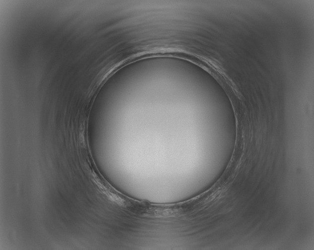 X0000054461273200507291012