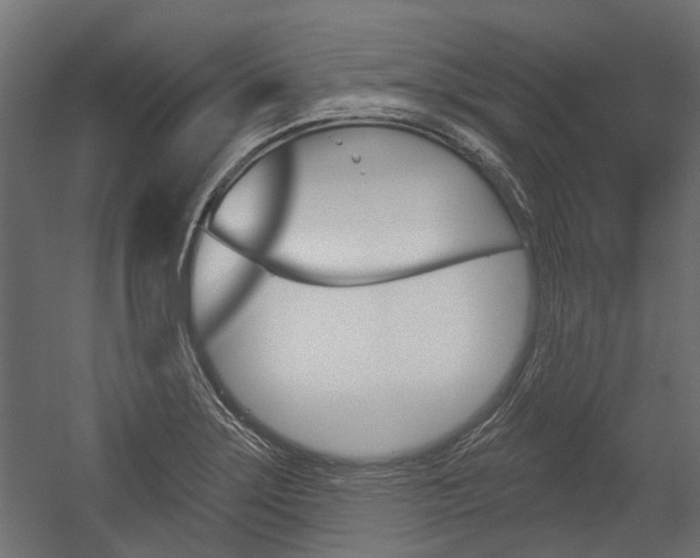 X0000054461275200507291012