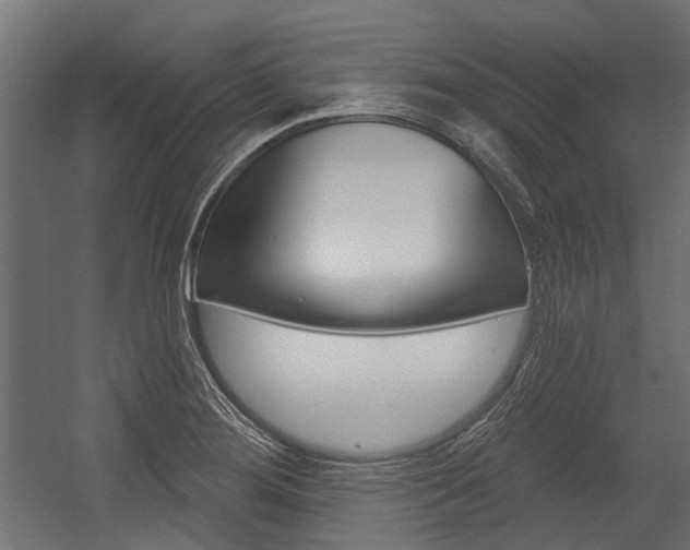 X0000054461276200507291012