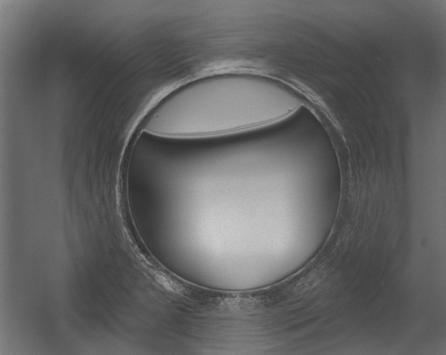 X0000054461277200507291012