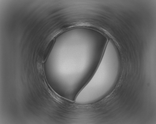 X0000054461281200507291012