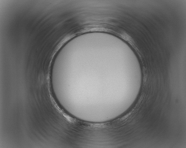 X0000054461282200507291012