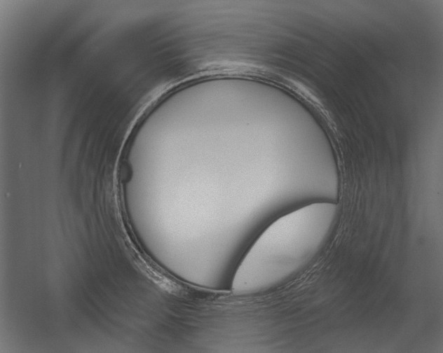 X0000054461283200507291012