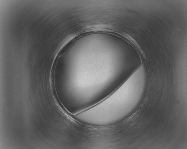 X0000054461285200507291011