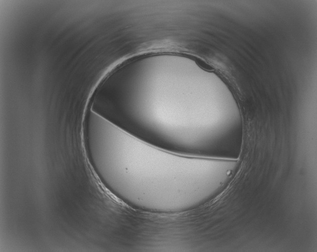 X0000054461288200507291011